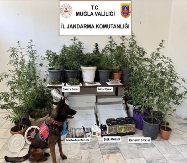 Muğla Jandarması Haziran Ayında Uyuşturucu Tacirlerine Göz Açtırmadı: 113 Olayda 118 Şüpheli Yakalandı 2